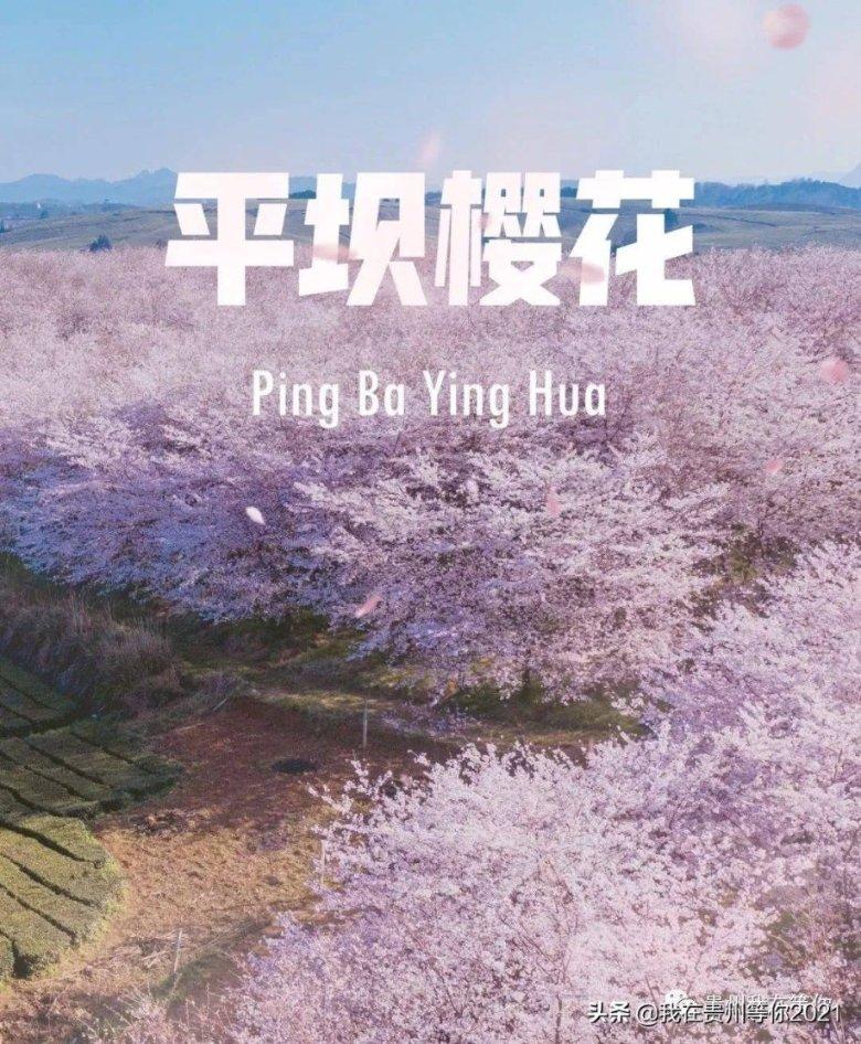 侠客风云传