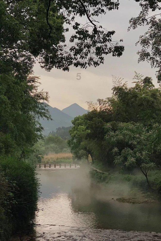 夏季纽扣裙