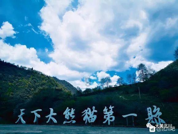奥迪全新一代Q5曝光!下半年首发