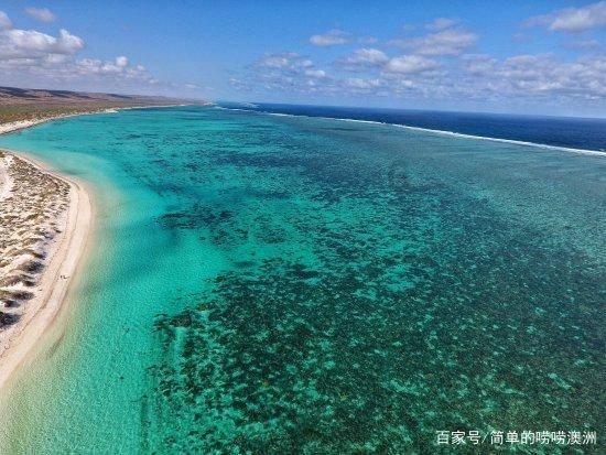 虫虫助手下载