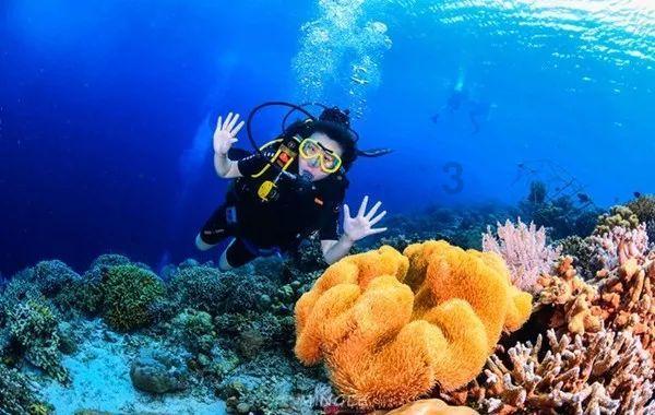 那些选择做全职太太的，现在都怎么样了？游戏画面