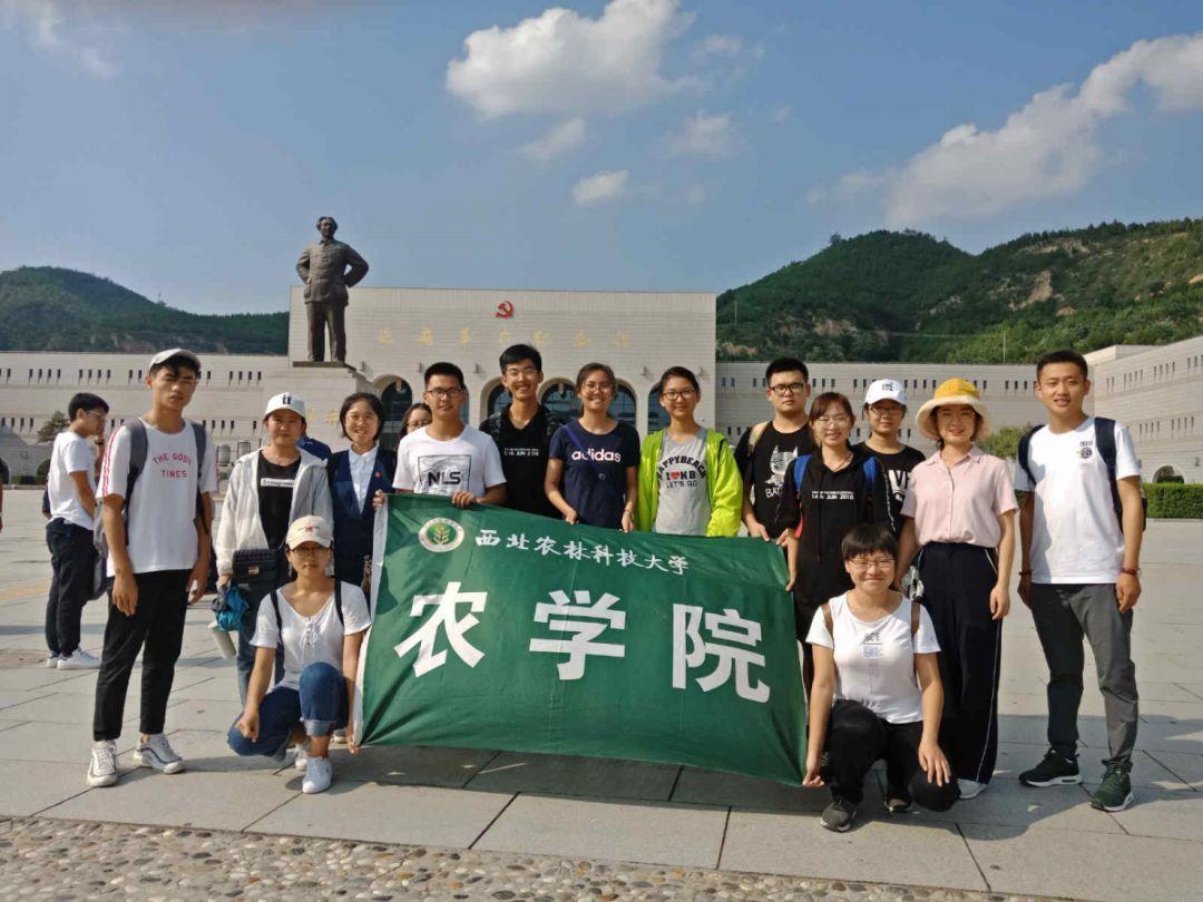 纯粮酿造的平价酒有哪些牌子游戏画面